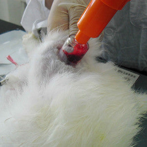 Venom Medical Pump Extractor